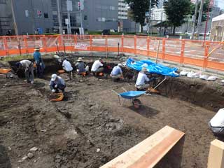 植物の不思議 ~水を湛えた巨木~